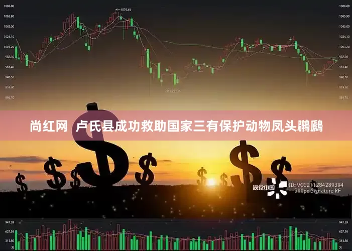 尚红网  卢氏县成功救助国家三有保护动物凤头鸊鷉