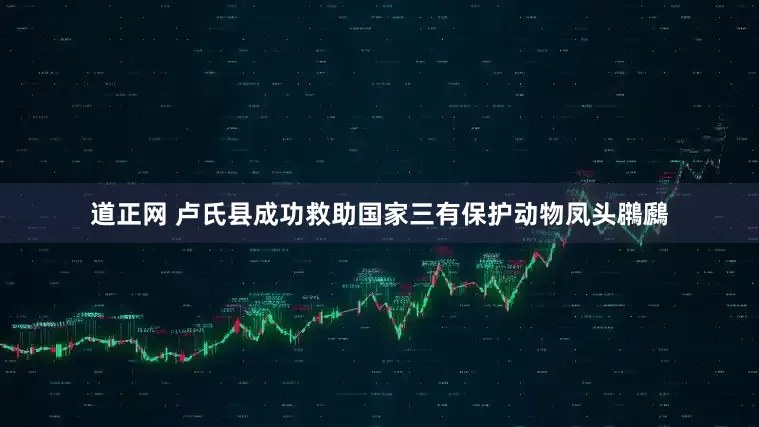 道正网 卢氏县成功救助国家三有保护动物凤头鸊鷉