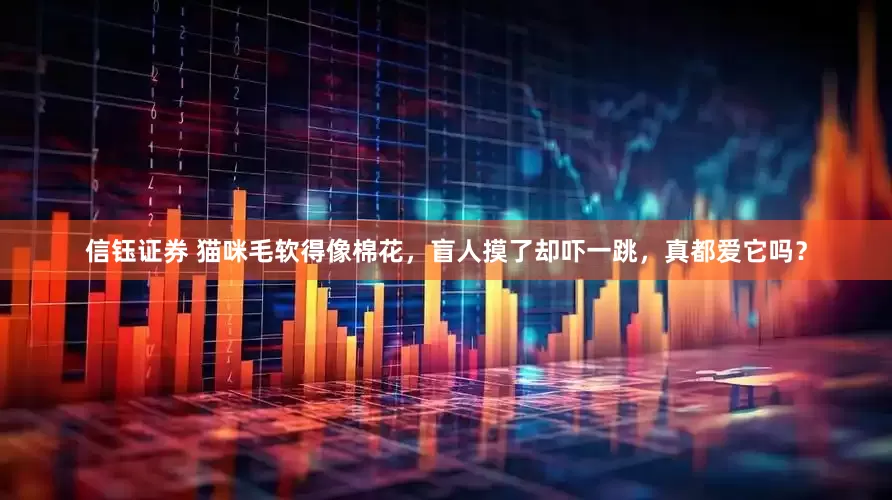 信钰证券 猫咪毛软得像棉花，盲人摸了却吓一跳，真都爱它吗？