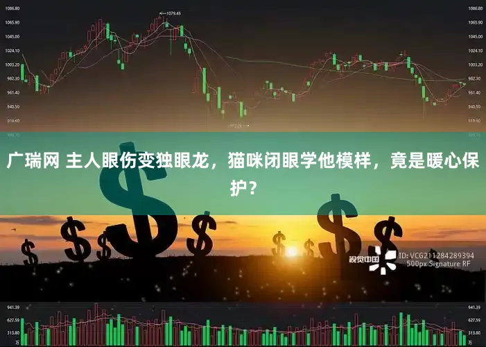 广瑞网 主人眼伤变独眼龙，猫咪闭眼学他模样，竟是暖心保护？