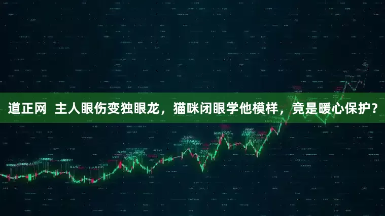 道正网  主人眼伤变独眼龙，猫咪闭眼学他模样，竟是暖心保护？