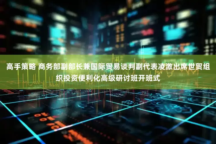 高手策略 商务部副部长兼国际贸易谈判副代表凌激出席世贸组织投资便利化高级研讨班开班式