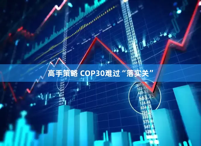 高手策略 COP30难过“落实关”